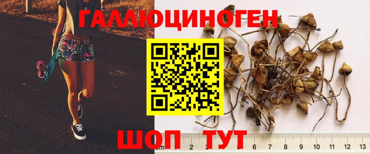 Псилоцибиновые грибы Psilocybine cubensis  Вход с VPN  Псилоцибиновые грибы Psilocybine cubensis  Сургут 